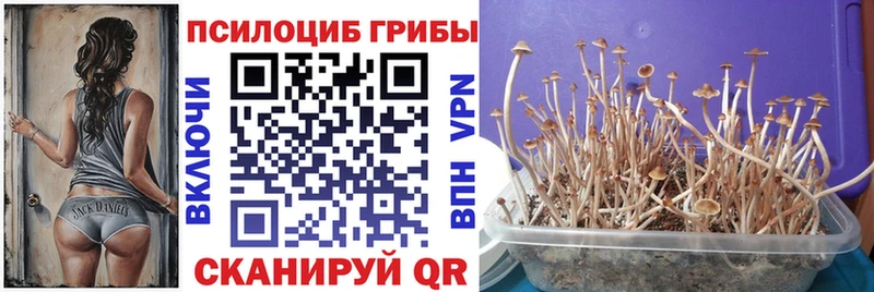 Галлюциногенные грибы мухоморы  Юрюзань 